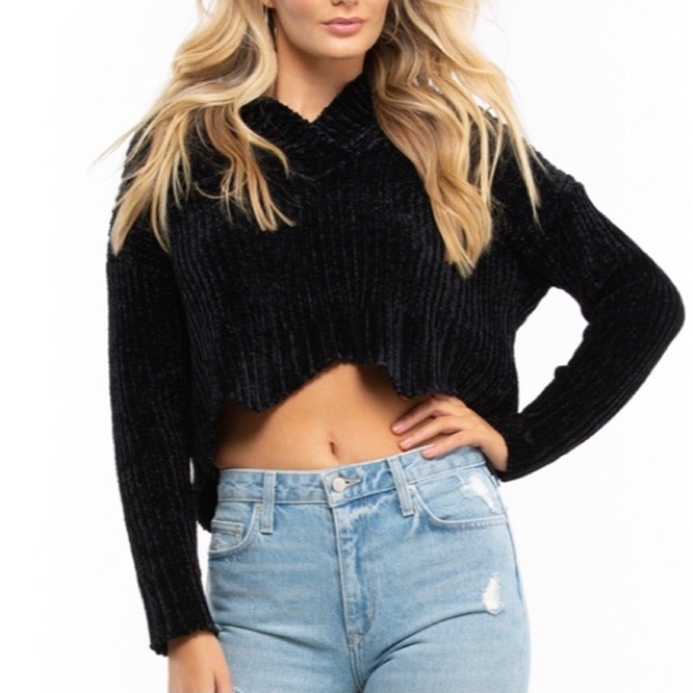 [M] Wildfox Mad chenille crop hoodie sweater